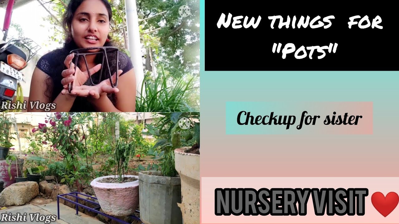 #Vlog3 New things For plant pots || Nursery visit || Sister's Checkup || RishiVlogs ||