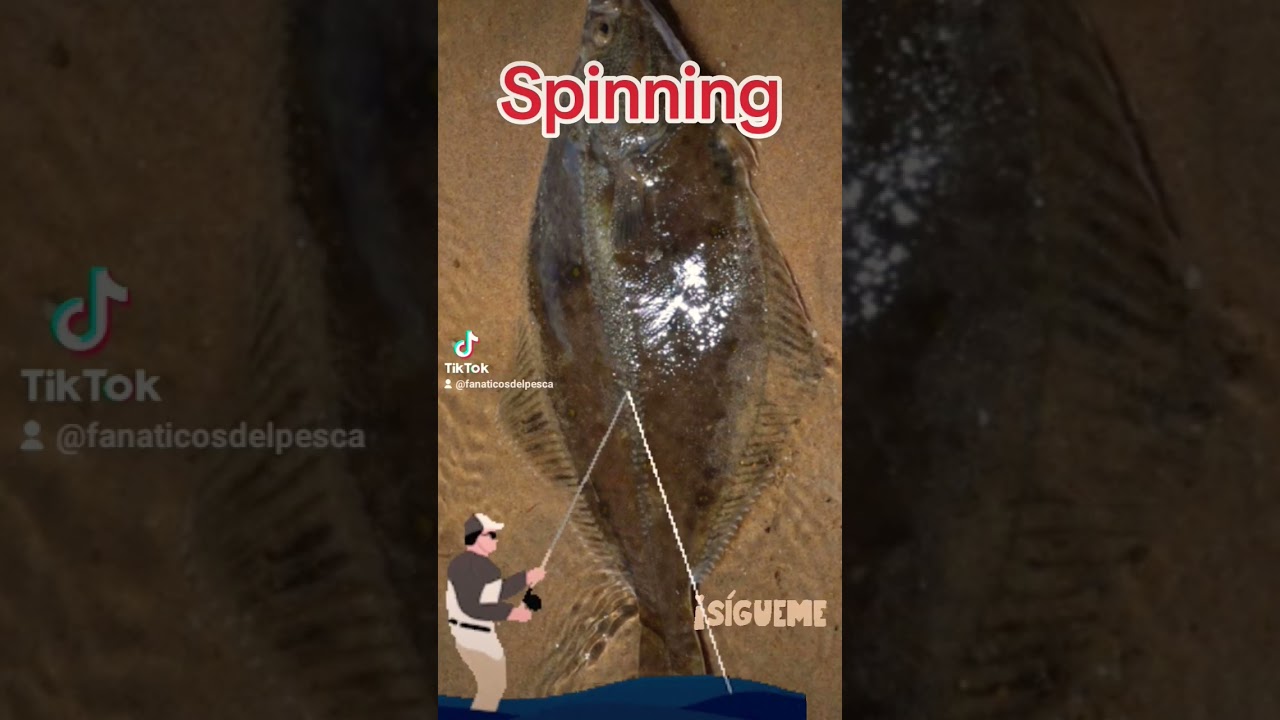 Surfcasting o Spinning??? #peces #fishing #cangrejeros #pescaria #surfcasting #spinning #pesca