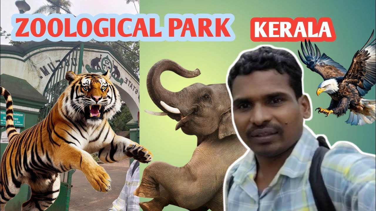 Zoological Park Kerala🦁#pokari vlogger