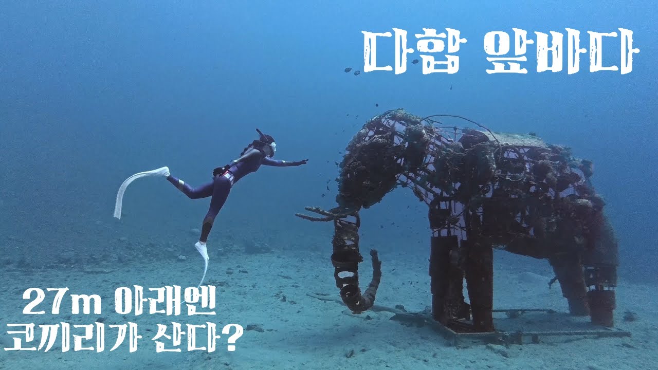 [🇪🇬다합 2탄]  다합 앞바다 다이빙 포인트 3곳을 소개합니다(걸어서 5분컷)