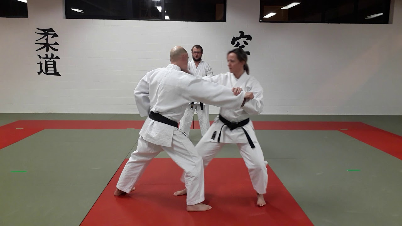 Bunkai Heian Nidan