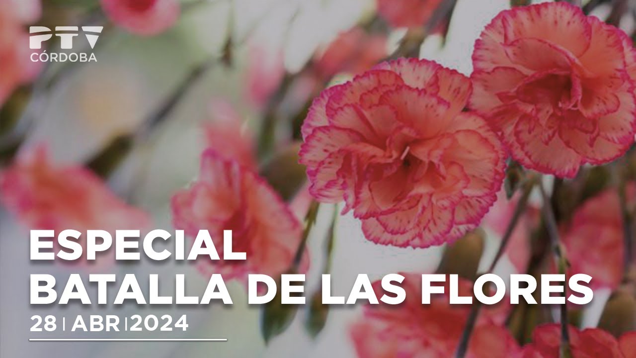 🌺 Especial Batalla de las Flores | PTV Córdoba HD 🌺