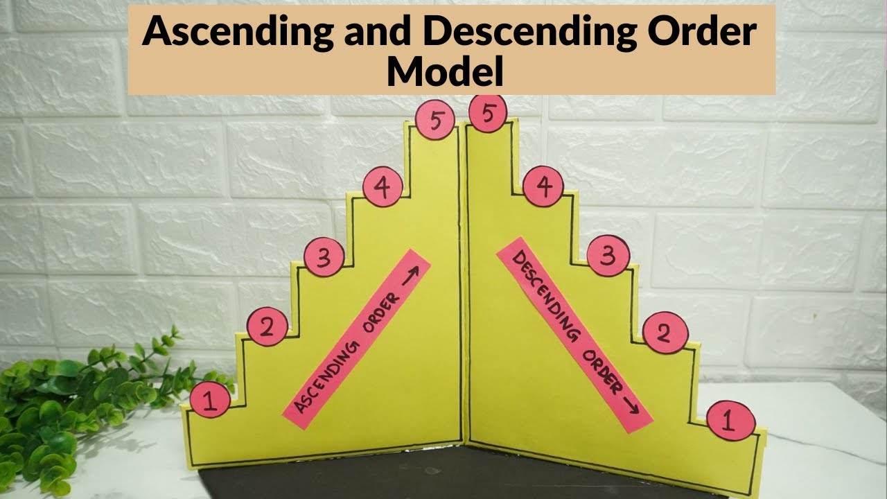 Ascending and Descending Order DIY Math Model | Easy Math Project for School Exhibition