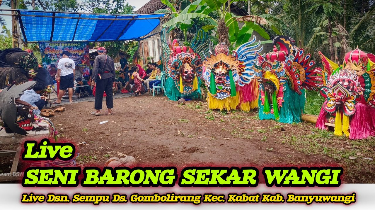 LIVE Seni Barong Sekar Wangi Live dsn. sempu desa. gombolirang kec. kabat