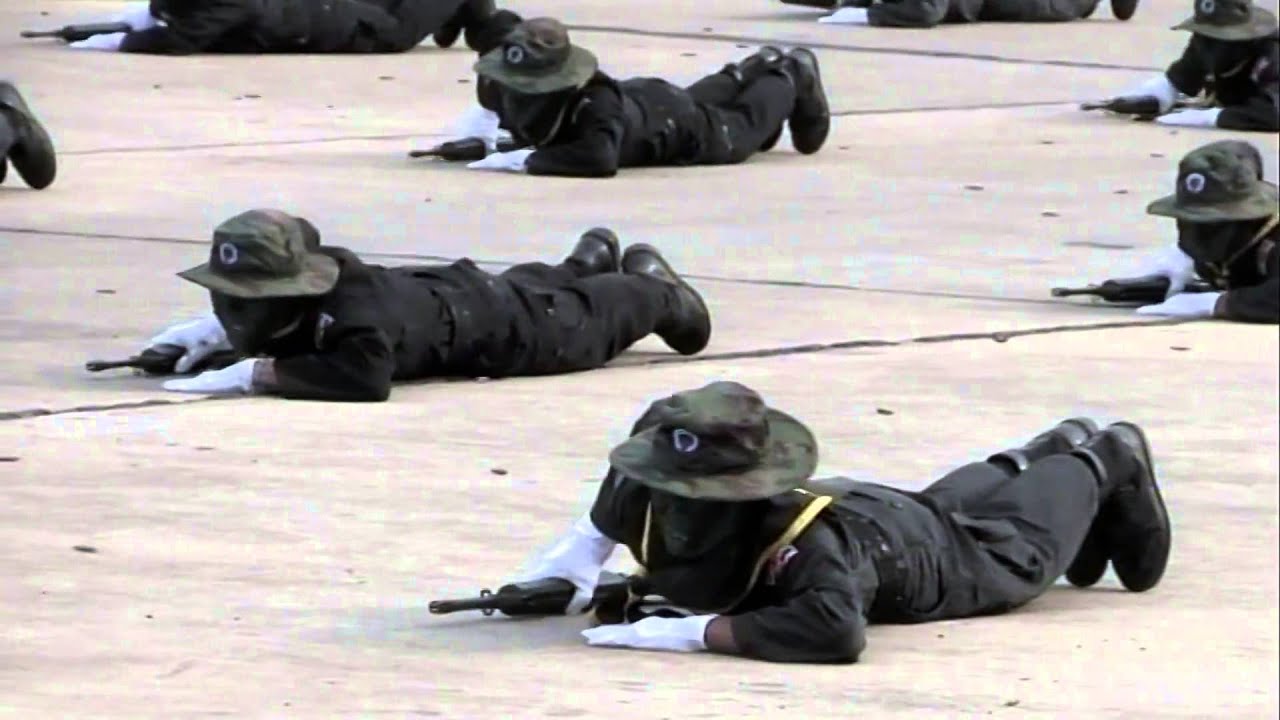การแสดงบุคคลทำการรบทหารพรานนาวิกโยธิน