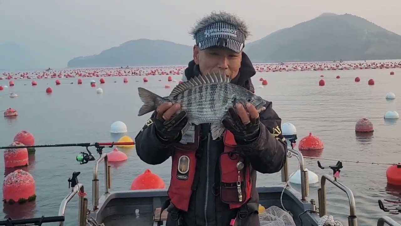 52cm 감성돔 🍞 대박!👍
