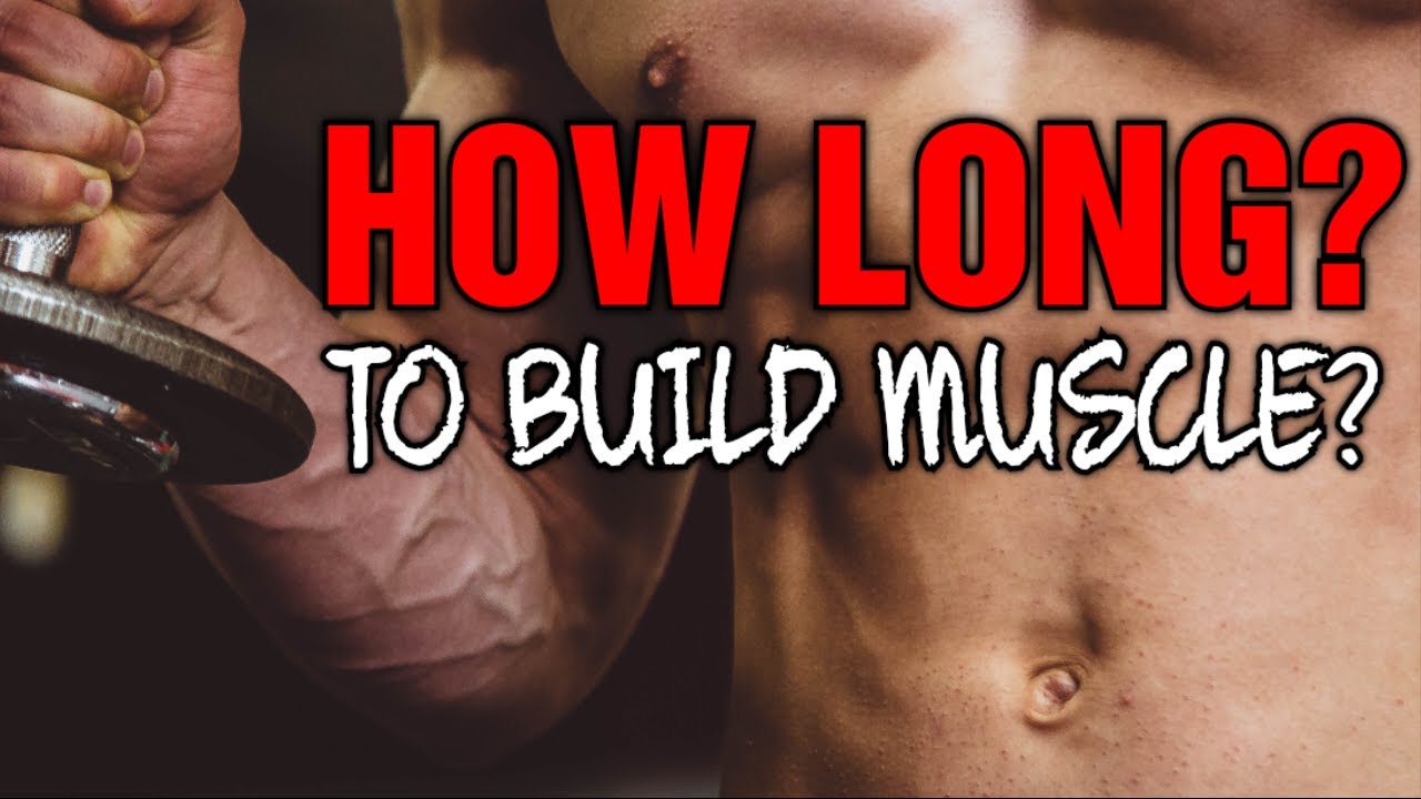 How Long Does It Take To Build Muscle?
