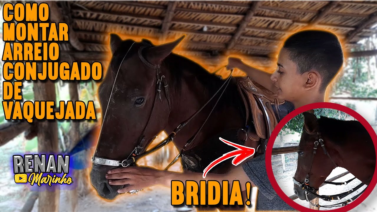 Como Montar Arreios De Vaquejada (Conjugado, Bridia) Da Forma Correta!!!
