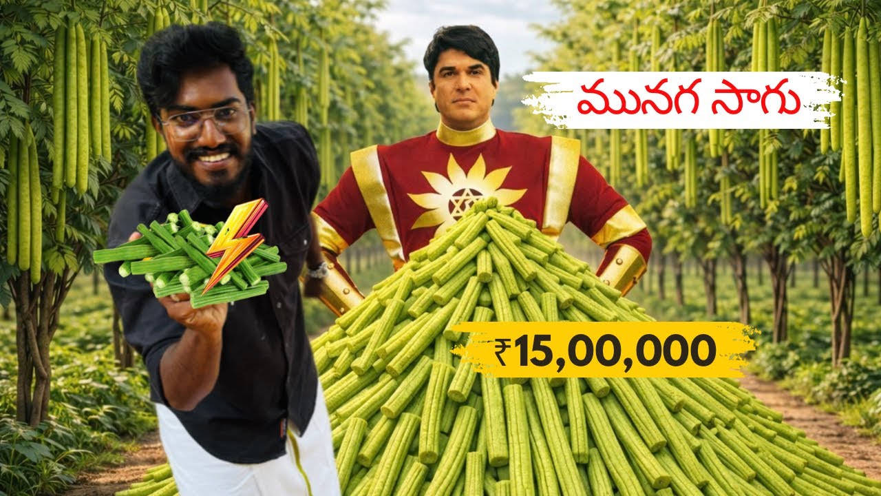 ₹9,00,000 🥒లాభం ఒక్క సంవత్సరంలో ఉందా? మునగ సాగు |Agrotill #farming