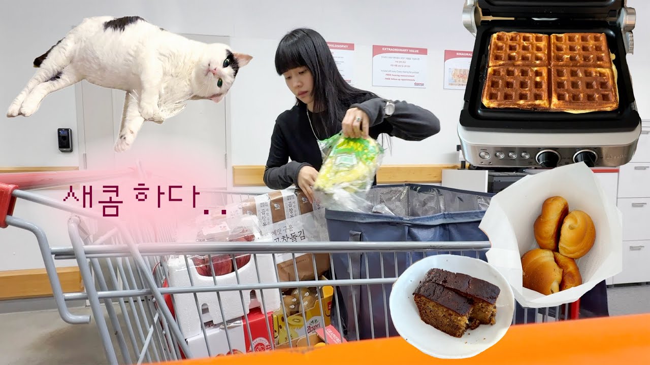 햄스트링 터짐🧨 와플메이커, 장어오마카세, 새콤이, 조리대가 갖고싶어...vlog