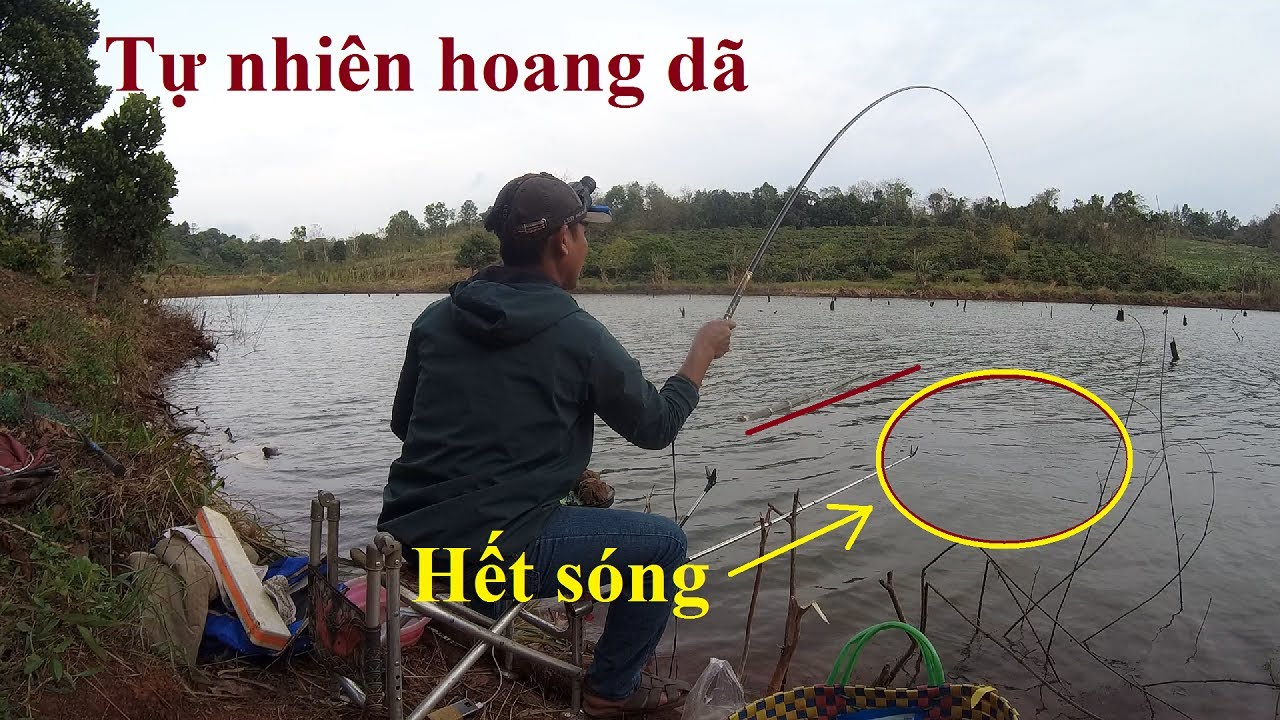 Thiết kế hệ thống CHỐNG SÓNG câu đài và cái kết | Câu đài tự nhiên P21 | 8-1-2023