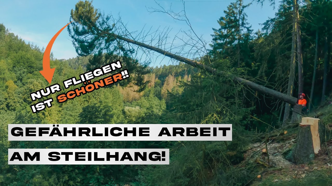 Adrenalin pur: Baumf&auml;llung am Steilhang mit der Stihl MS 500i