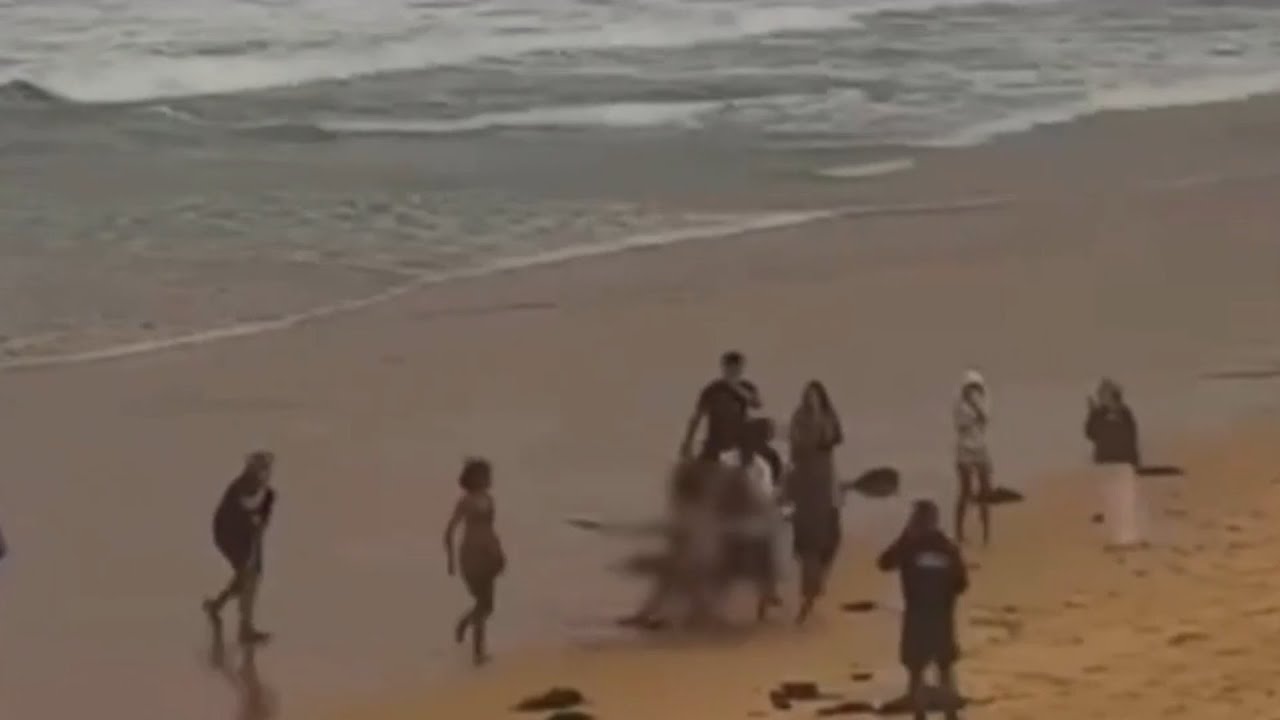 Fourth shark attack in three days rocks New South Wales