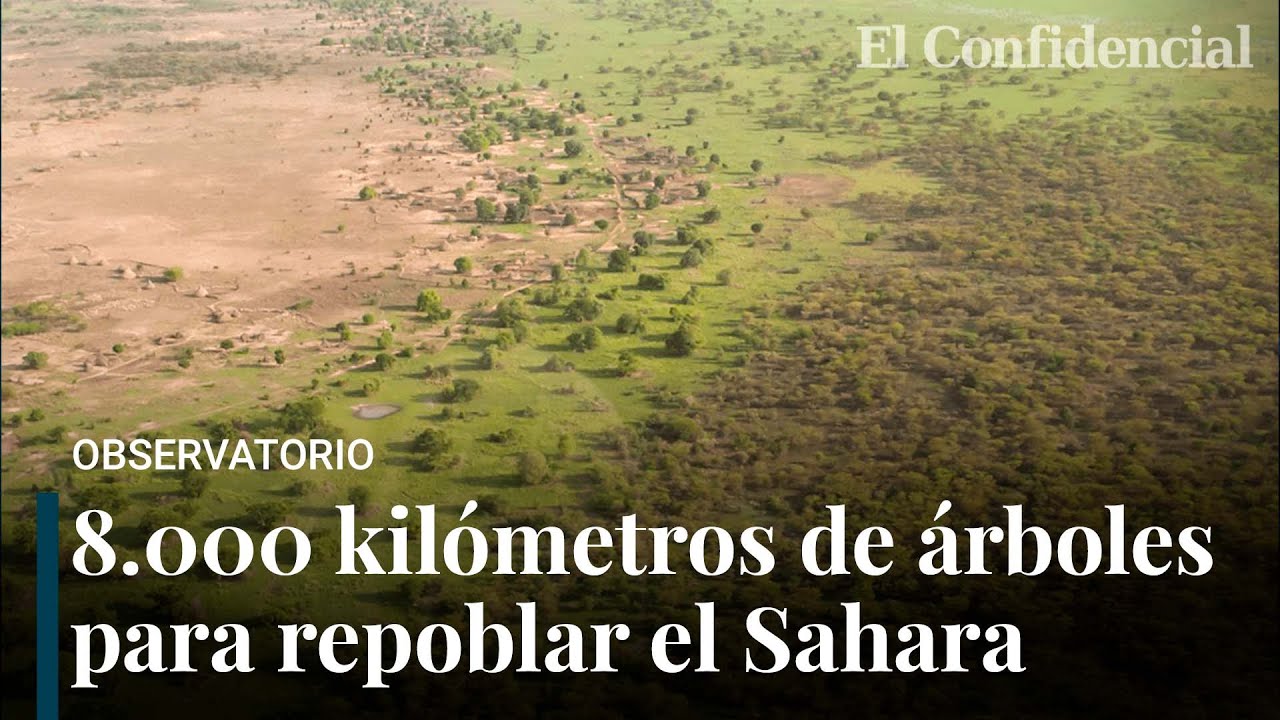 La Gran Muralla Verde del Sahel: 8.000 kms de árboles para frenar el cambio climático en África
