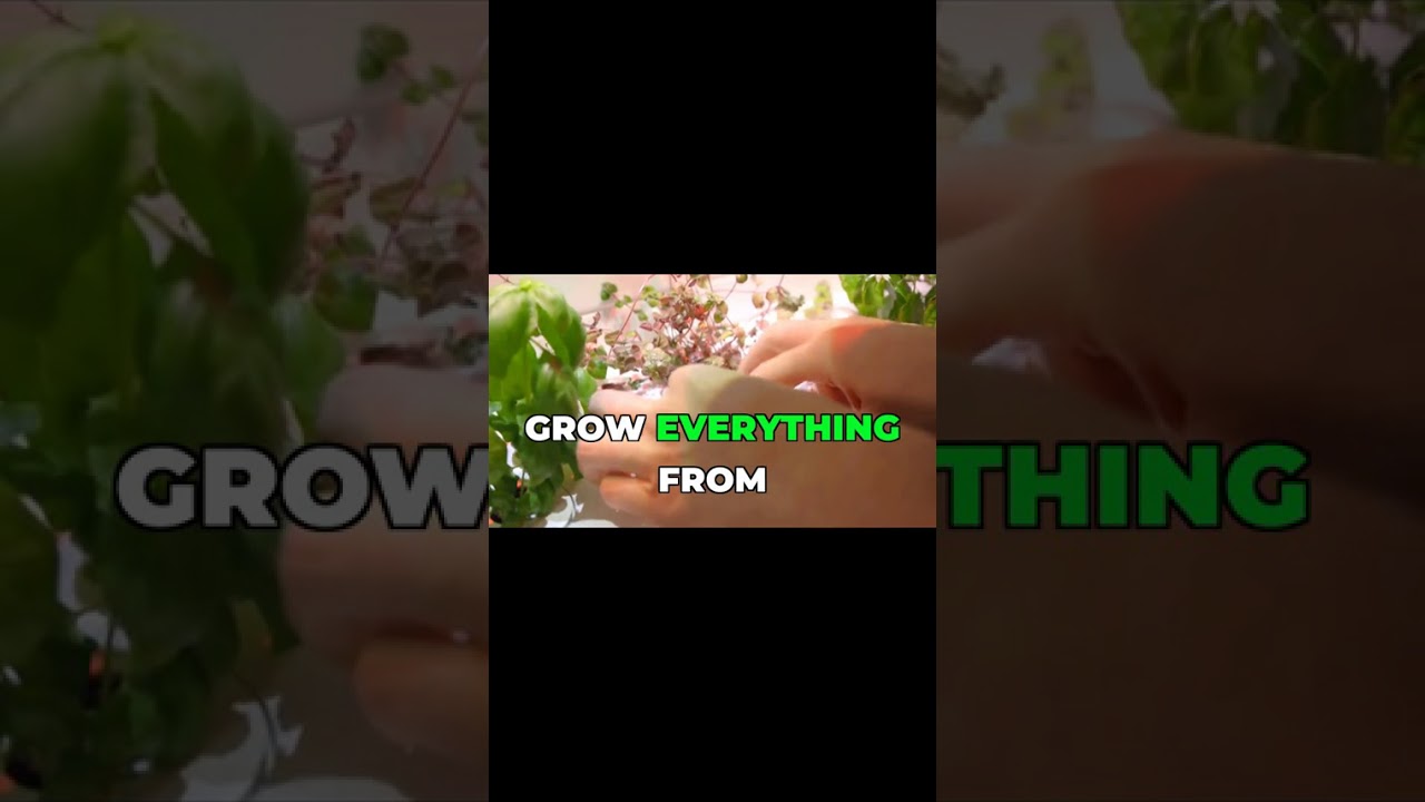 This Futuristic Garden Will Change How You Eat! 🚀 