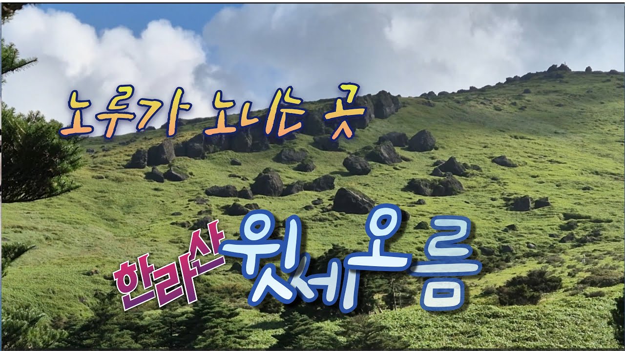 노루가  노니는 곳, 한라산 윗세 오름. 4K