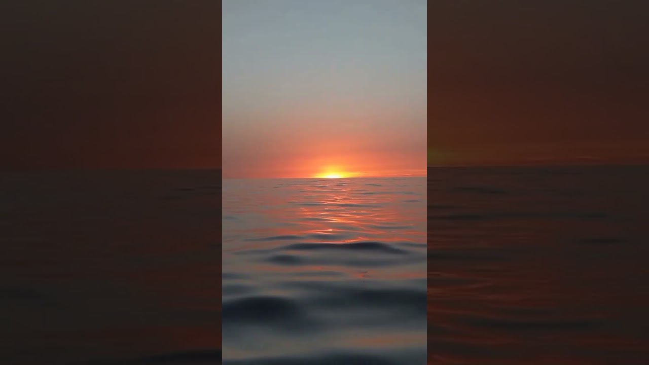 sunset☀ | sunset video | sunset video 4k full screen || Nature videos ||