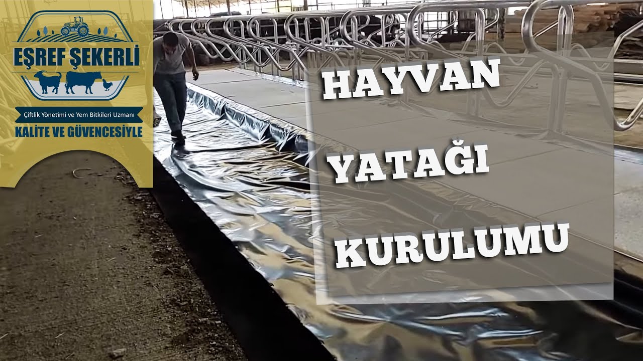 Hayvan Yatağı Nasıl Kurulur?