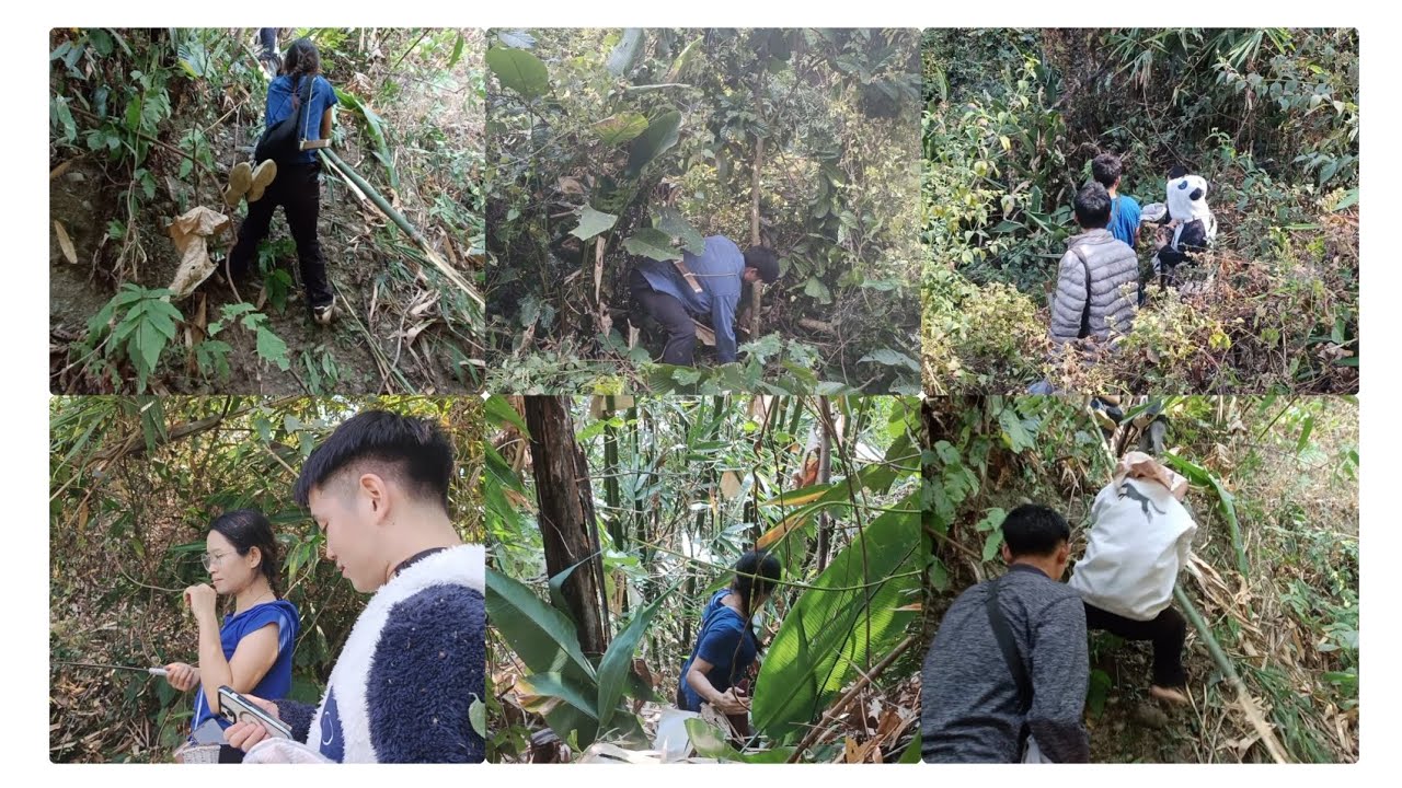 Aaj Jungle Mei Bahut bhayanak Hua🥹🥺//Karsingsa Jungle🌳🪾 #arunachalpradesh.