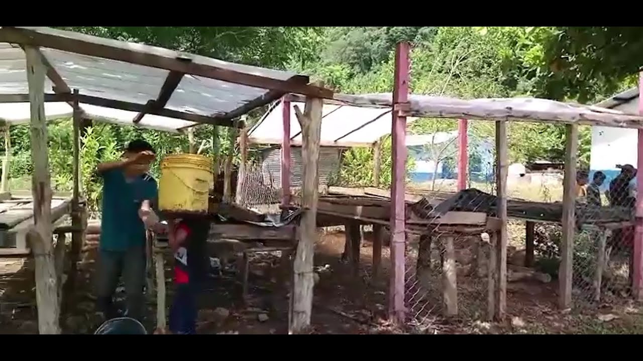¡Los niños participan construyendo los invernaderos!