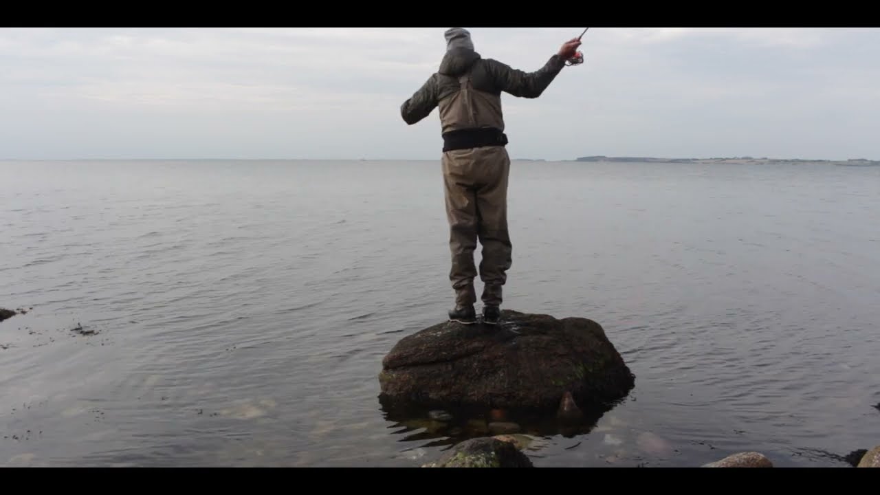 Sea trout fly fishing Helnaes Denemark