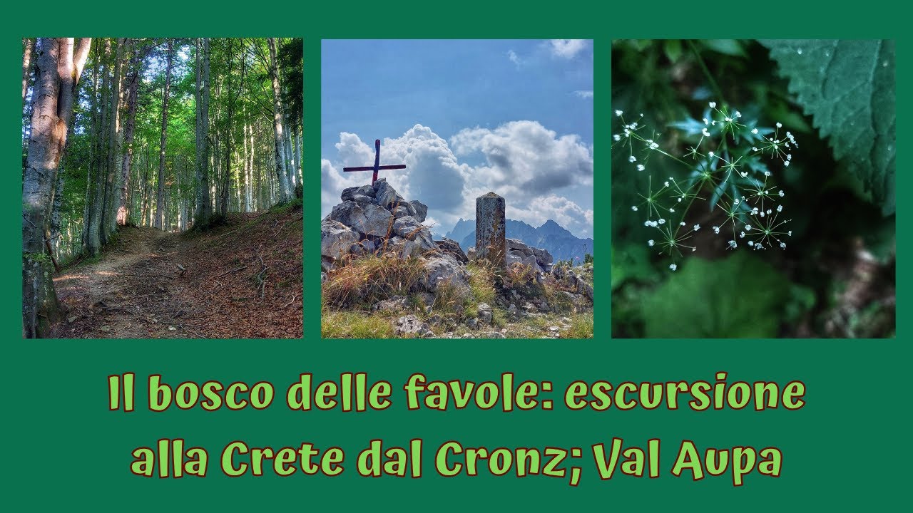 Il bosco delle favole: escursione alla Crete dal Cronz; Val Aupa