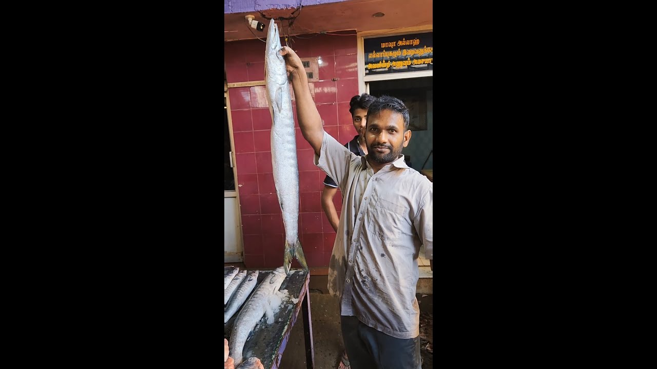 🤯💢Ooli Fish - The Morratu Single‼️ Fish Roast - மதுரை நெல்பேட்னட மீன் மார்க்கெட்  🐟⁉️