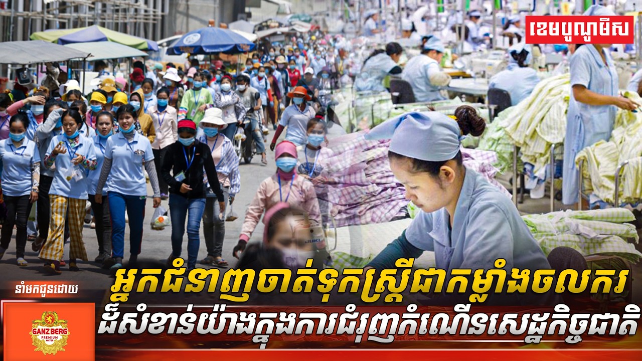 អ្នកជំនាញចាត់ទុកស្រ្តីជាកម្លាំងចលករដ៏សំខាន់យ៉ាងក្នុងការជំរុញកំណើនសេដ្ឋកិច្ចជាតិ