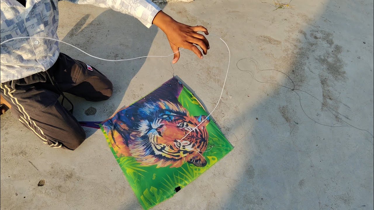 Kite flying Kite Fighting 