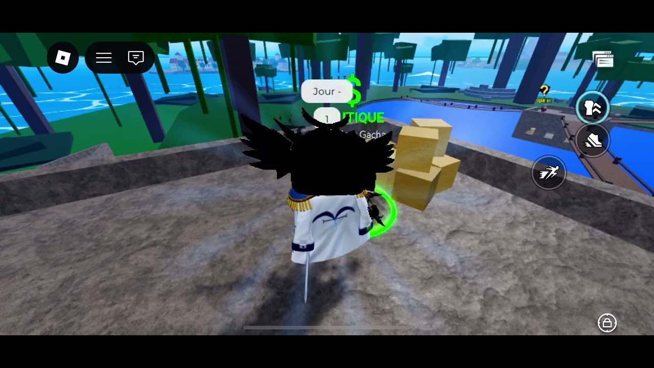 Chaque jour sur blox fruits on fait des gachas pour avoir des fruits mythiques 👍