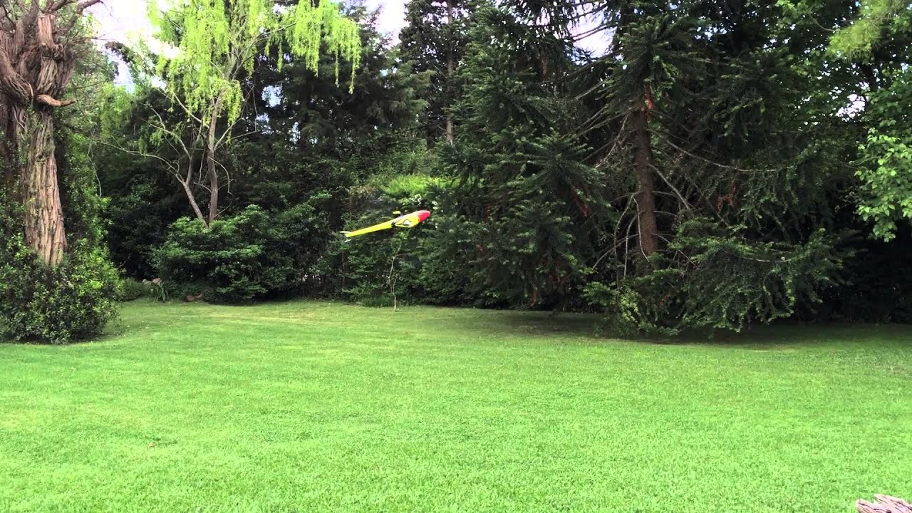 Having fun in backyard with Goblin 380