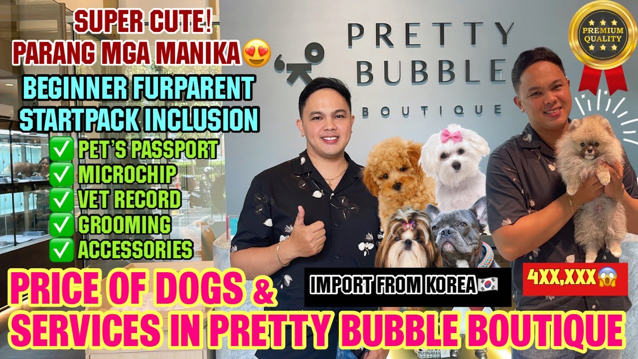 SEPTEMBER 2023 Pretty Bubble Boutique Puppies PRICELIST + GIVEAWAY!  PURE BREED PUPPIES *MUST WATCH*