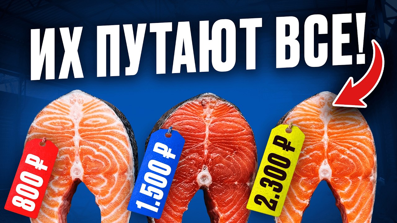 Как выбрать лосось и чем отличаются его виды? Все, что нужно знать в 1 видео!