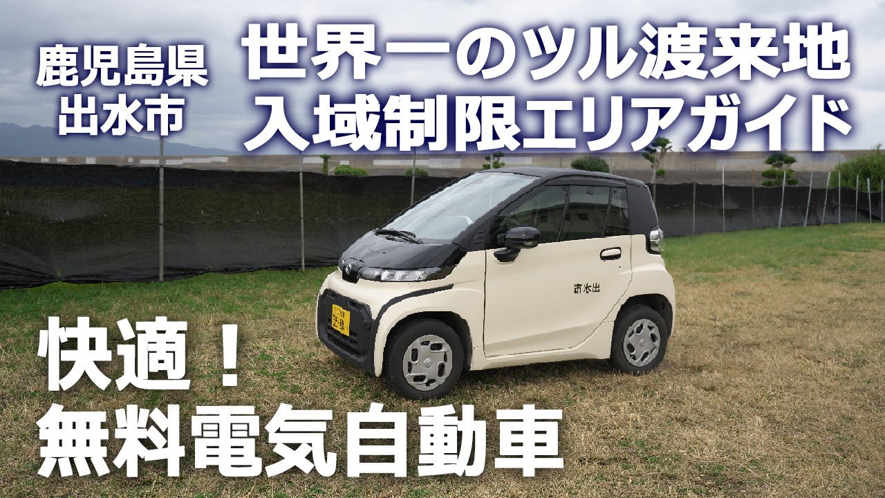 『世界一のツル渡来地』入域制限エリアを無料電気自動車で走ってみた｜鹿児島県出水