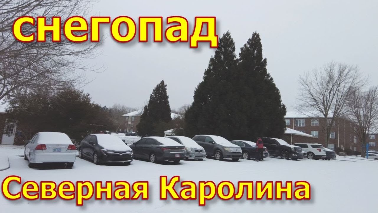 Снегопад в Северной Каролине. Сидим дома.