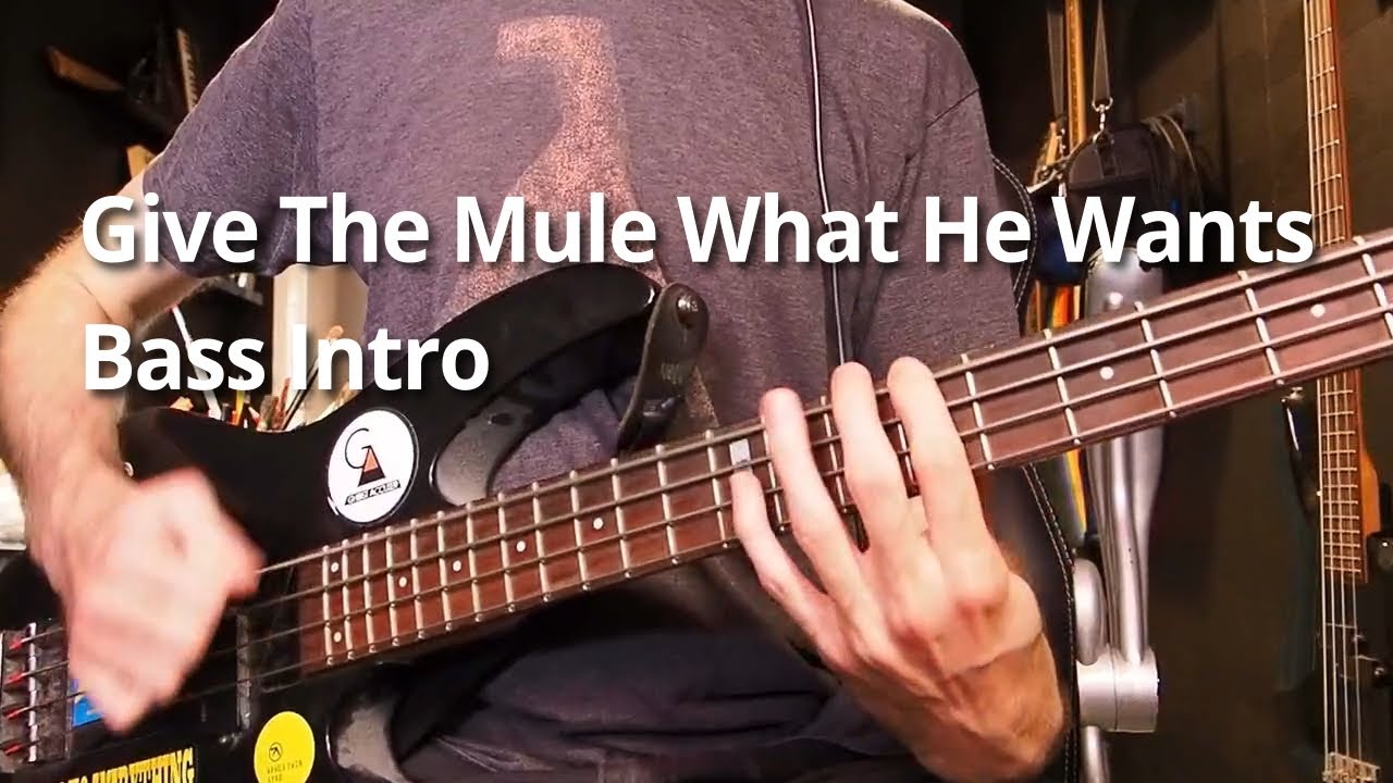 Give The Mule What He Wants - Bass Intro Tutorial