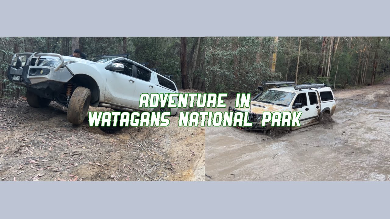 Exploring the Watagans National Park 4x4 (& the undefeated bog hole)