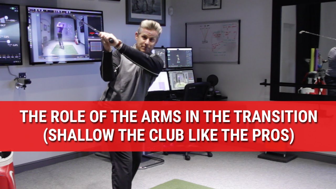 THE ROLE OF THE ARMS IN THE TRANSITION