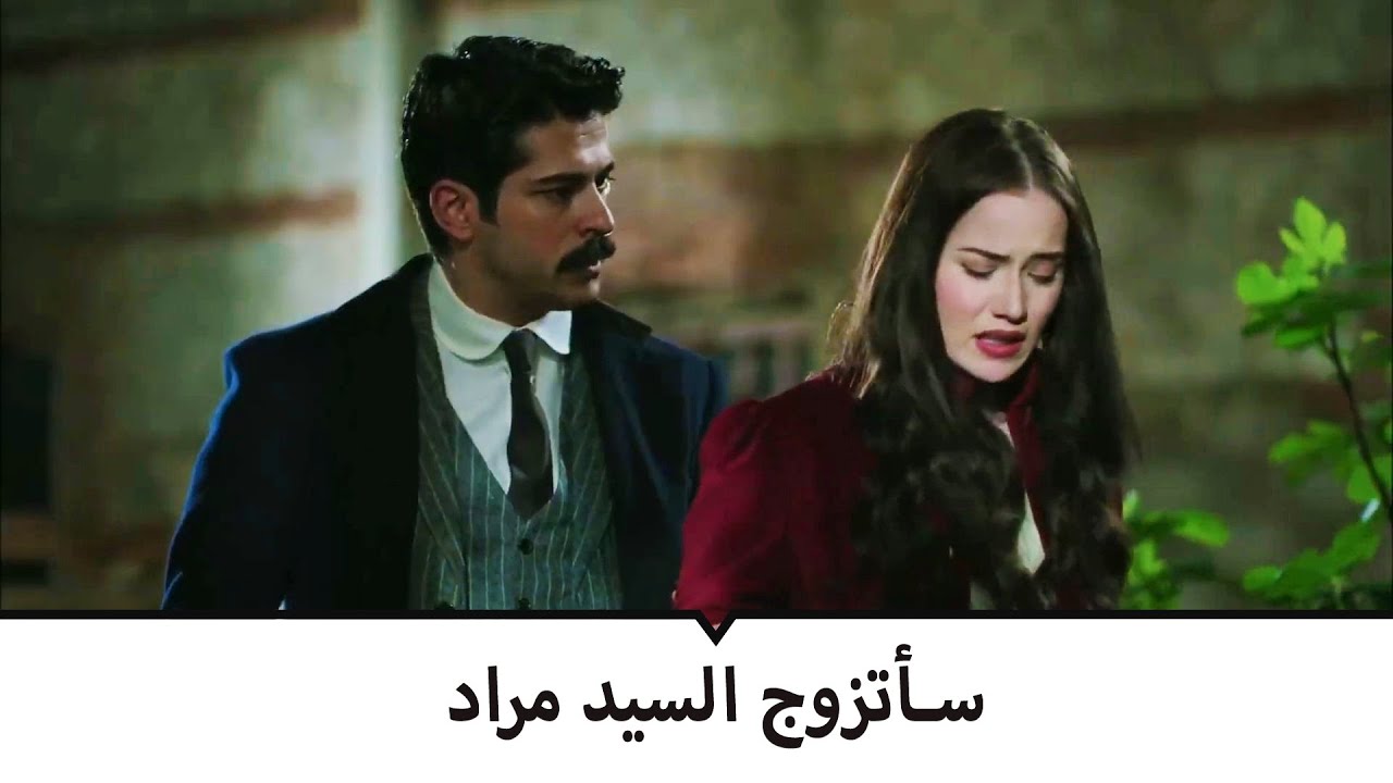 شجار كبير بين فريدة و كامران | طائر النمنمة