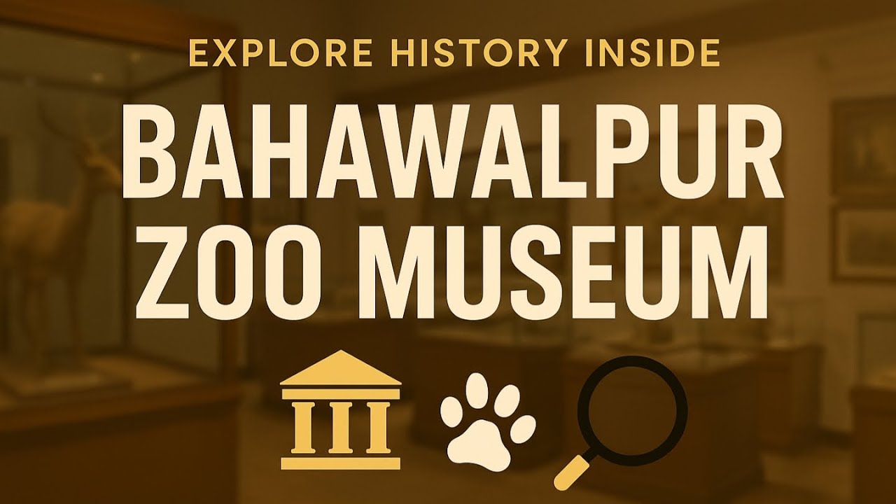 Discover the Hidden Gems of Bahawalpur Zoo Museum! 🏛️✨| Muavviz hameed vlog| #travel #zoo #museum 