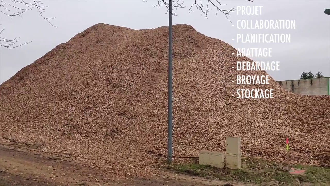 Réalisation d'une piste d'entrainement en copeaux de bois par ELIOT INNOV SOL