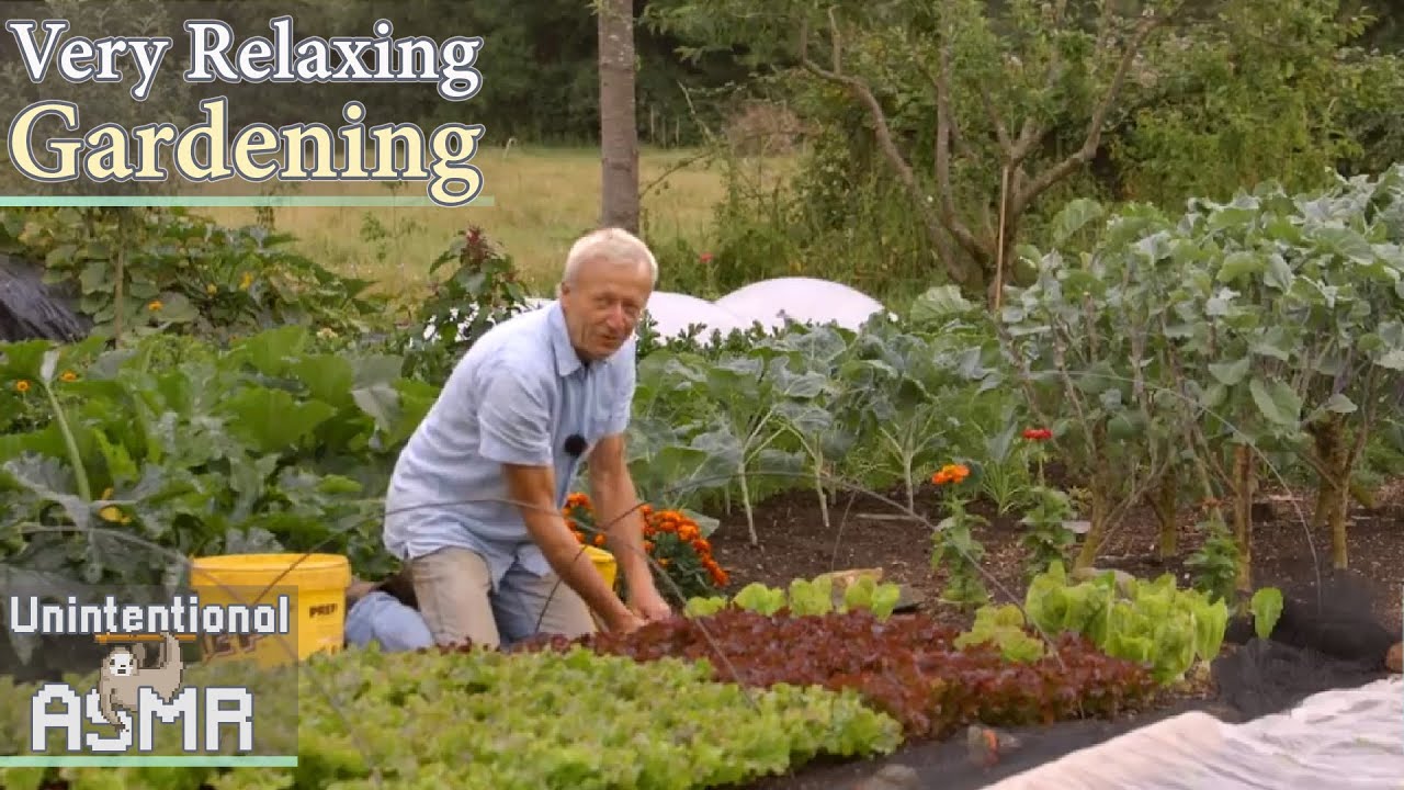 Unintentional ASMR 🌱🥕 Relaxing Organic Gardener | Digging, Harvesting Sounds