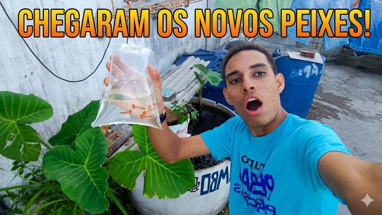 Chegaram os novos peixes do canal!