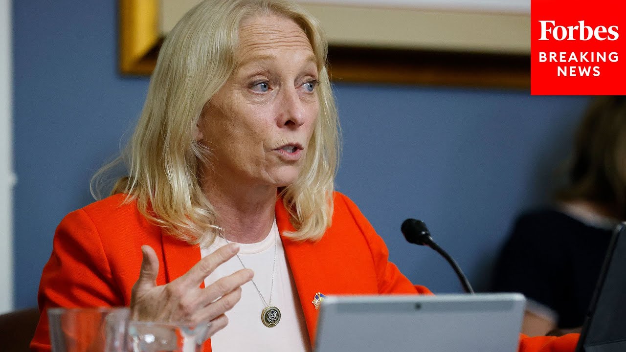 'People Will Die': Mary Gay Scanlon Paints Grim Picture Of Big Beautiful Bill