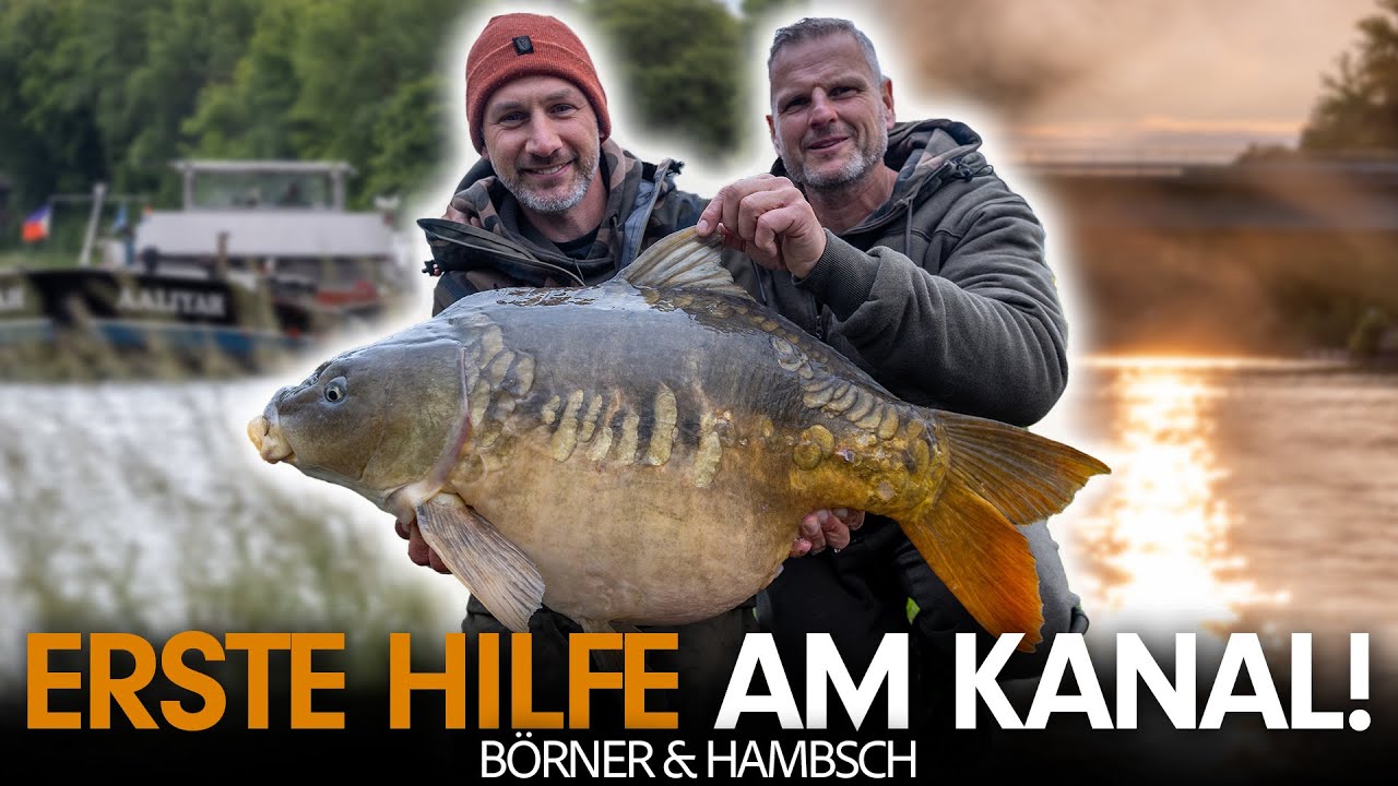 KARPFENANGELN AM KANAL mit dicker Überraschung! 💥 Andre Börner guided Steffen Hambsch
