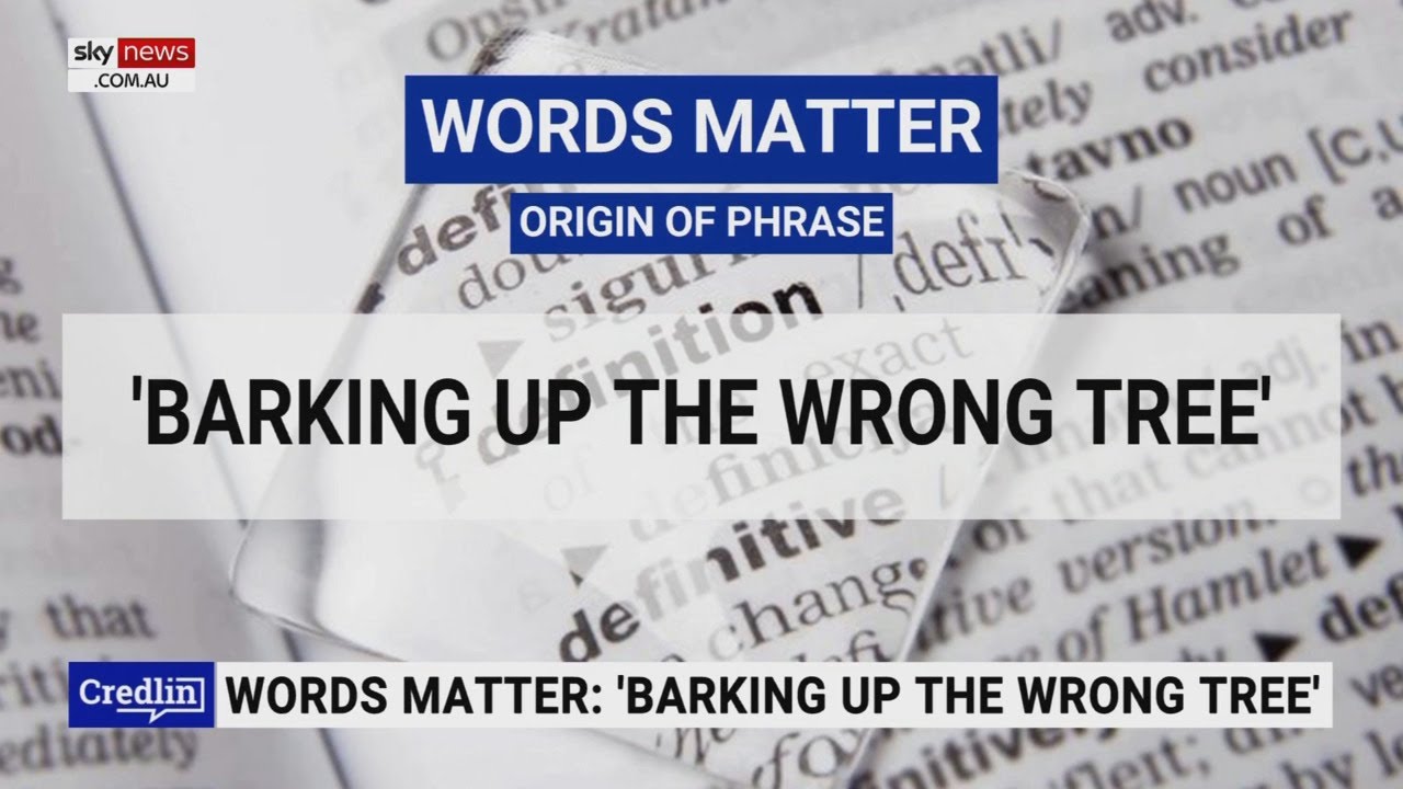 Words matter with Kel Richards: Origin of the phrase ‘barking up the wrong tree’