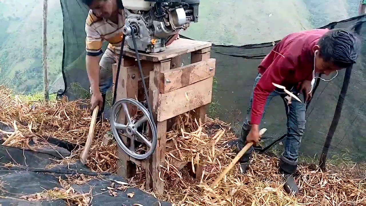 Trilladora de fríjol artesanal