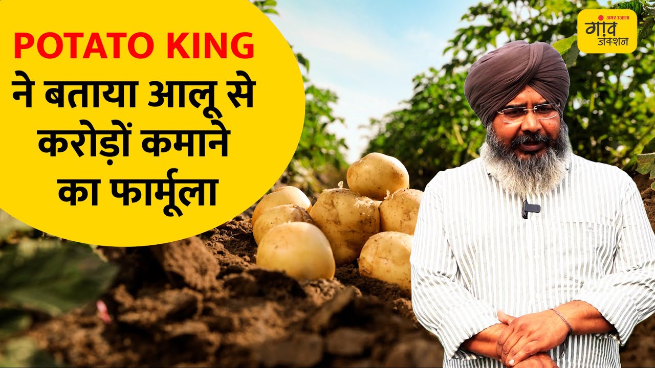 POTATO KING : 130 एकड़ में 15-20 हजार कुंतल आलू उत्पादन, सालाना 1.5 करोड़ कमाई | Gaon Junction LIVE