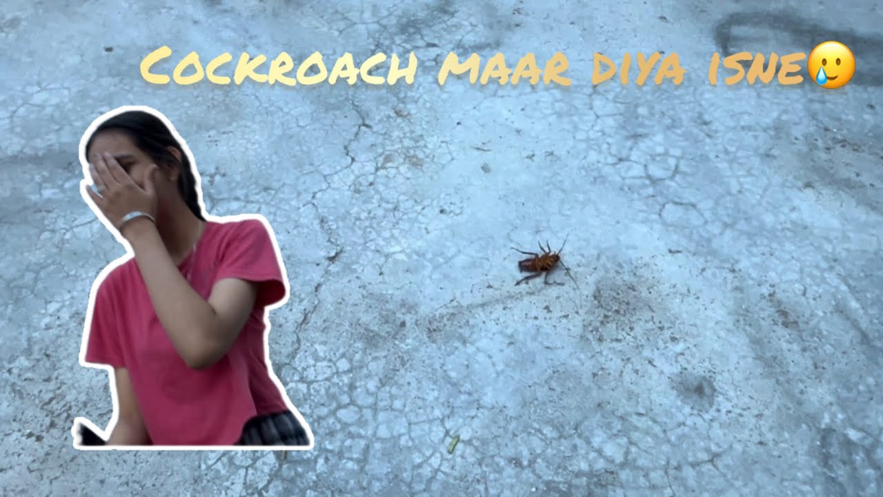 Cockroach maar diya isne🥲 Day-65