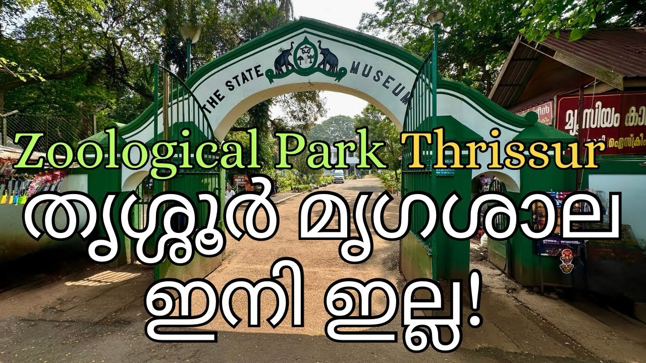 തൃശ്ശൂർ മൃഗശാല പുതിയ സ്ഥലത്തേക്ക് മാറ്റുന്നു||Thrissur Zoo or State Museum & Zoo@TravelWithAnil8154